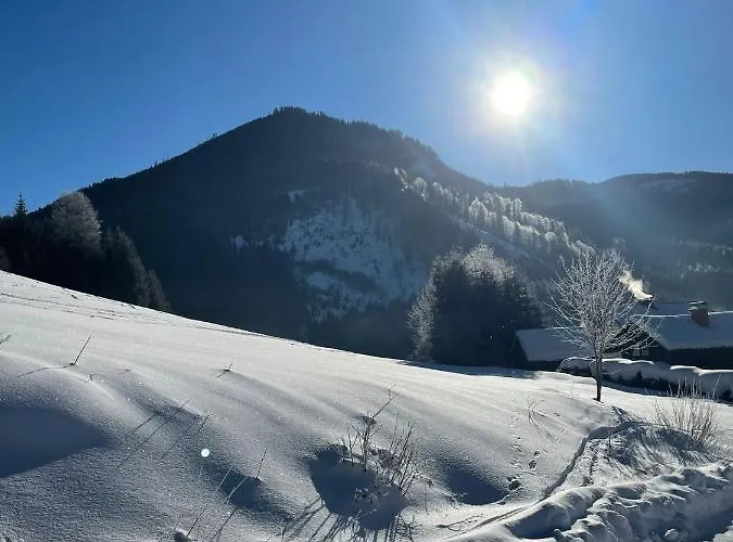 Frein - Wildalm Chalet