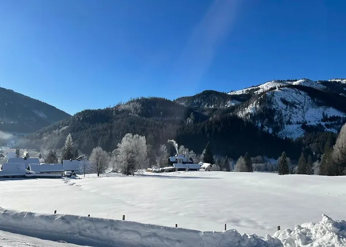 Frein - Wildalm Frein an der Murz