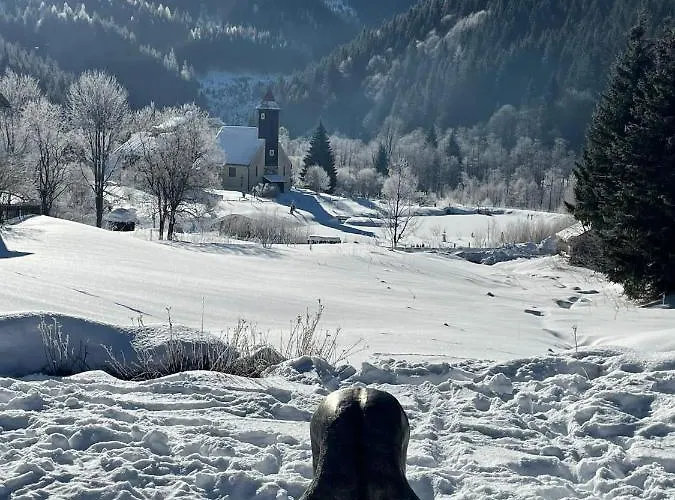 Chalet Frein - Wildalm Frein an der Murz