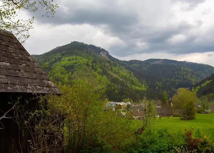 Chalet Frein - Wildalm *